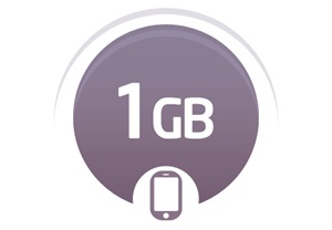 1 GB